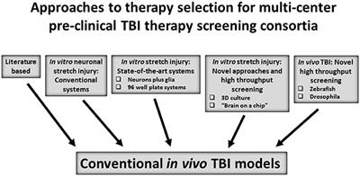 Multi-Center Pre-clinical Consortia to Enhance Translation of Therapies and Biomarkers for Traumatic Brain Injury: Operation Brain Trauma Therapy and Beyond